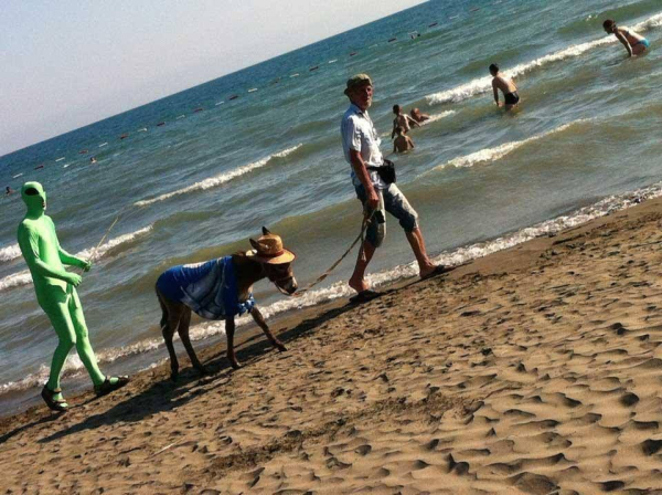 at a beach, a man walks a small burro wearing a hat on a leash and behind them, a person in a motion-capture green suit with alien eyes.  