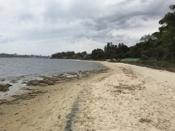 A white sand beach with water on the left and trees and houses in the middle distance on the right. In the middle foreground a darker streak can be seen running up the beach. This is a strandline of darker, more dense minerals including #zircon. This is beach on a bend in the Swan River in Perth, Western Australia.