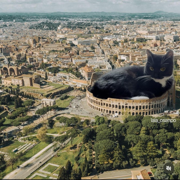 photoshopped picture of Rome, with a giant grey and white cat lying in the coliseum 