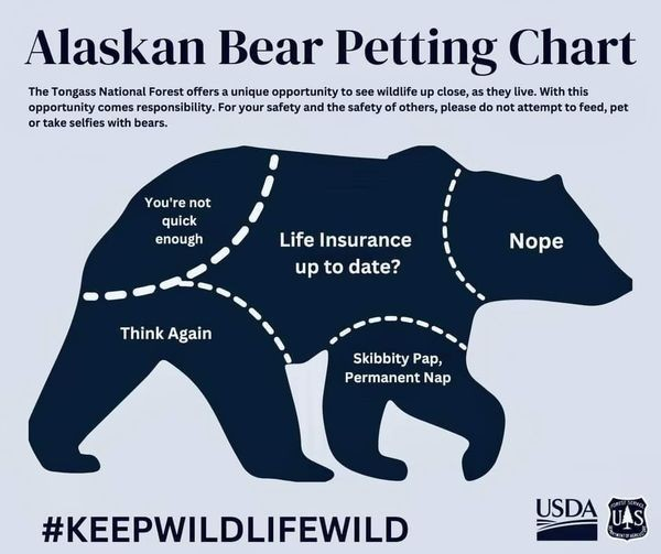 Alaskan Bear Petting Chart -- silhouette of bear with areas indicated: Nope; You're not quick enough; Life insurance up to date? Think Again; Skibbity Pap, Permanent Nap. #keepwildlifewild
The Tongass National Forest offers a unique opportunity to see wildlife up close, as they live. With this opportunity comes responsibiility. For your safety and the safety of others, please do not attempt to feed, pet or take selfies with bears.