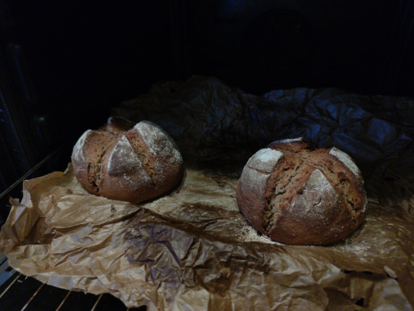 Two loafs of bread with a deep brown and white tops.